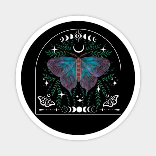 Aesthetic Vintage Night Butterfly Magnet